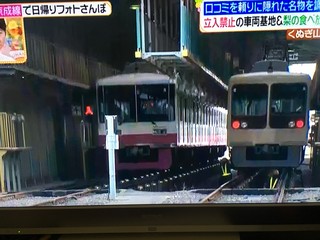 image1-1.jpeg