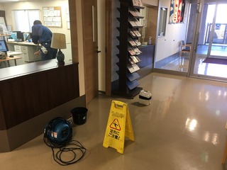image6 (1).jpeg